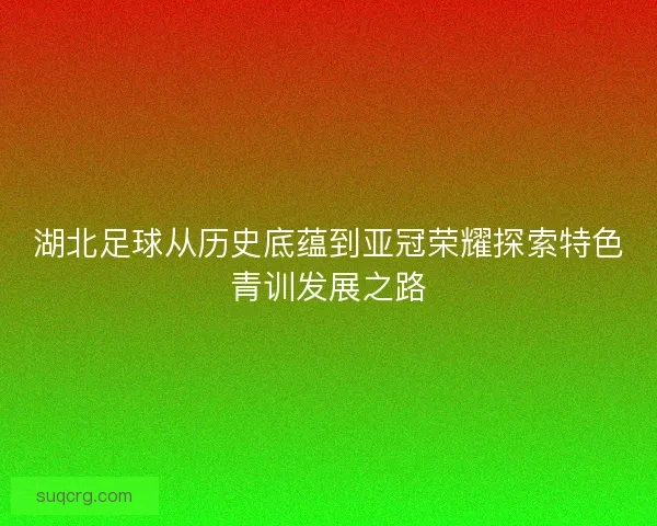湖北足球从历史底蕴到亚冠荣耀探索特色青训发展之路